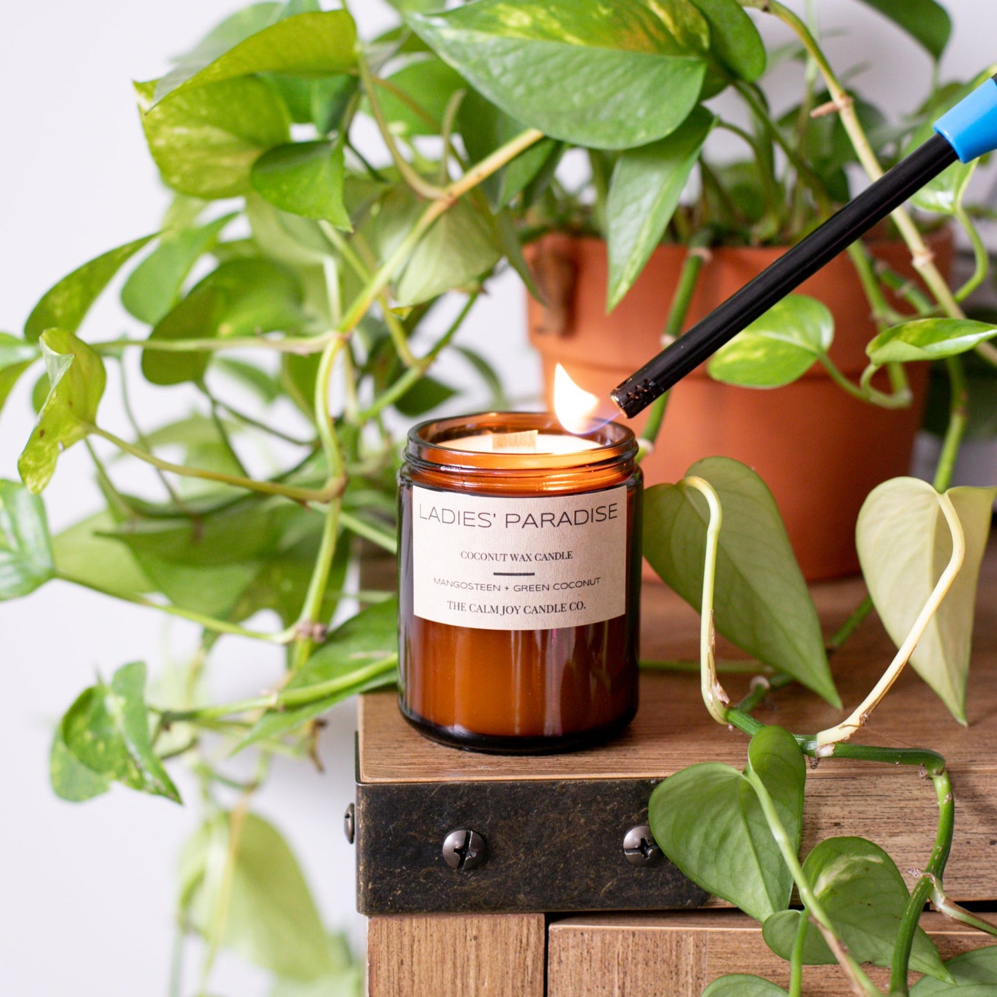 Mangosteen Coconut Berry Candle