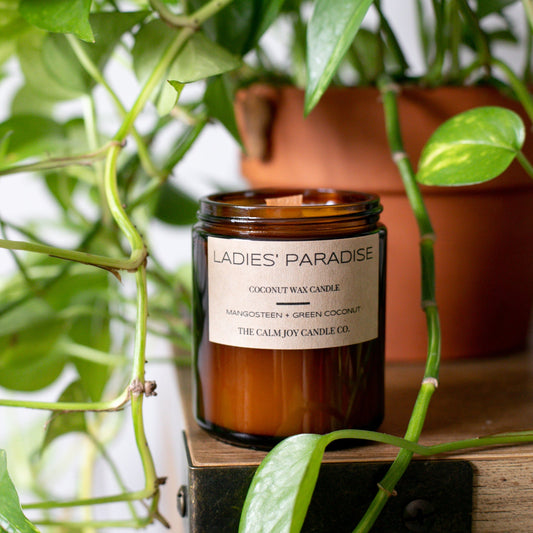 Mangosteen + Green Coconut Scented Jar Candle