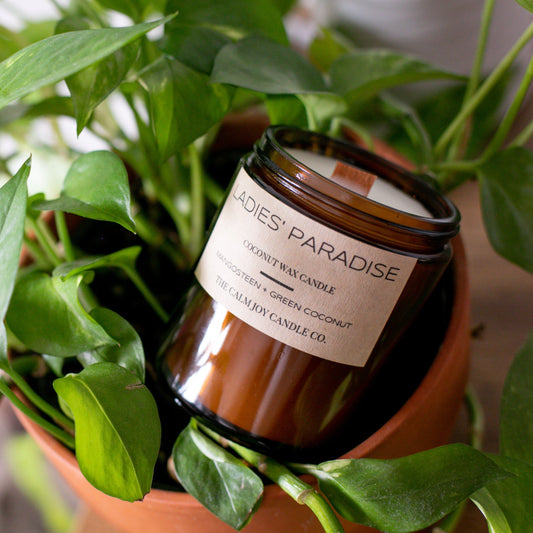 Mangosteen Coconut Berry Candle